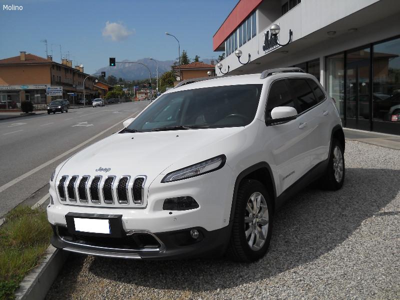 fiat JEEP CHEROKEE diesel